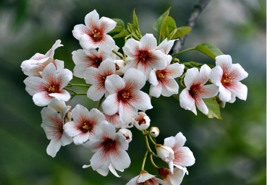 小学生学习习惯不好怎么办？-松江托班网